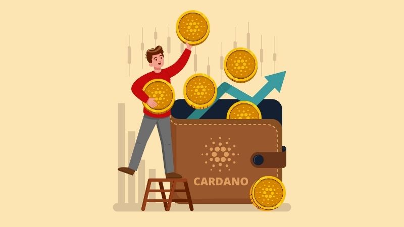 ada coin nedir